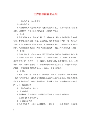工作自评报告怎么写 
