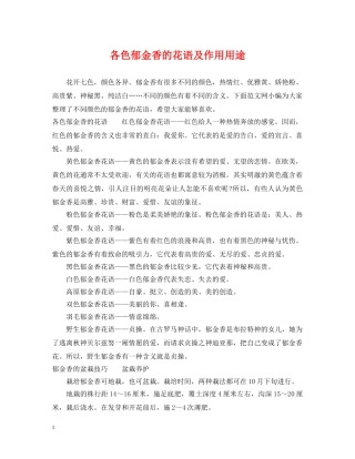 各色郁金香的花语及作用用途 