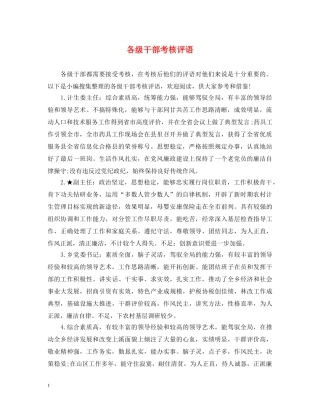 各级干部考核评语 