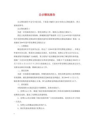 公示情况报告