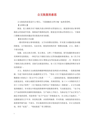 公文批复的意思