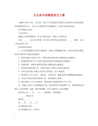 公文命令的精选范文3篇