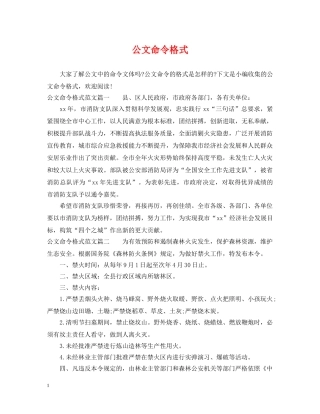 公文命令格式