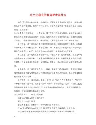 公文之命令的具体要求是什么