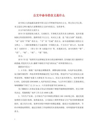 公文中命令的含义是什么
