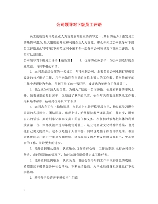 公司领导对下级员工评语