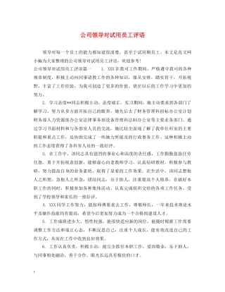 公司领导对试用员工评语
