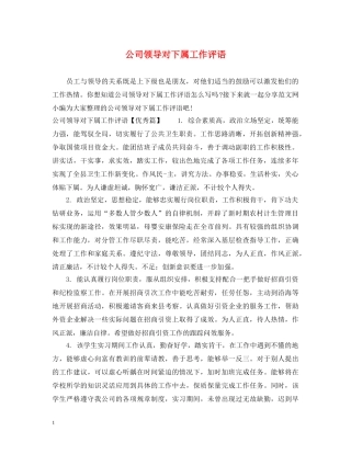 公司领导对下属工作评语
