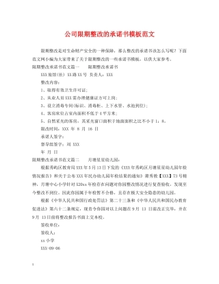 公司限期整改的承诺书模板范文