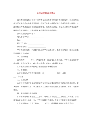 公司试用劳动合同范本