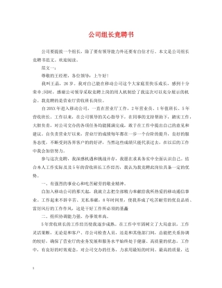 公司组长竞聘书