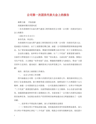 公司第一次团员代表大会上的报告