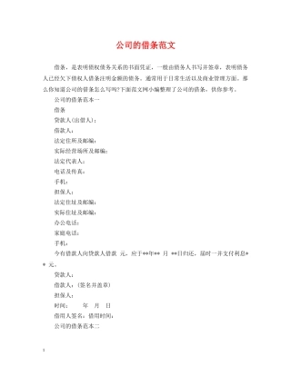 公司的借条范文