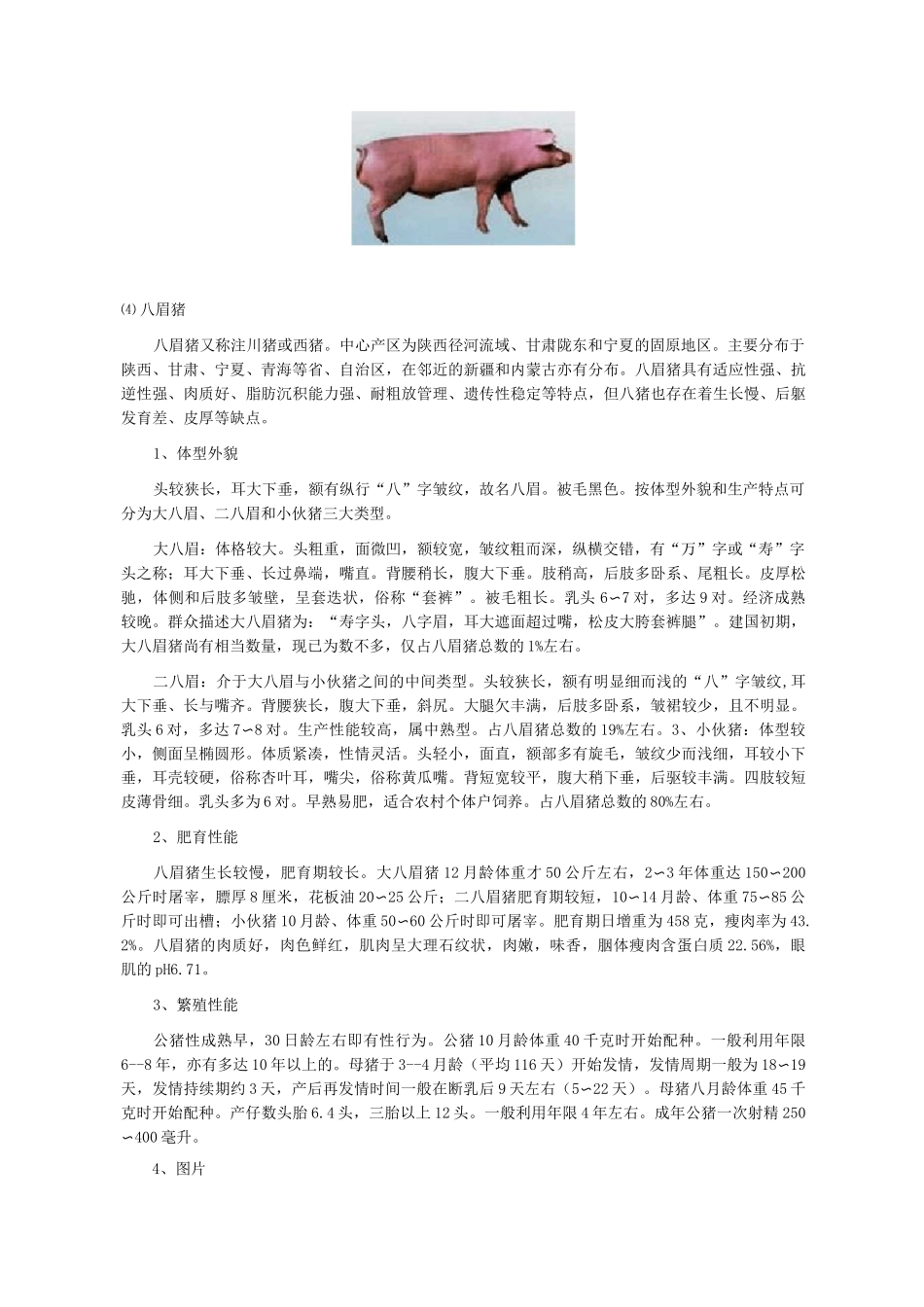 三、中国地方猪品种_第3页