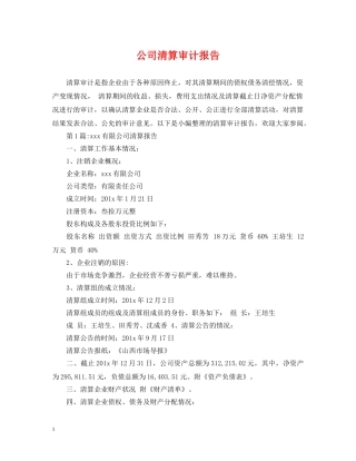 公司清算审计报告