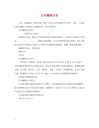 公司撤销公告