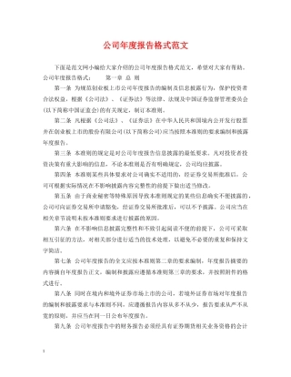 公司年度报告格式范文