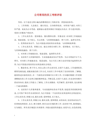 公司常用的员工考核评语