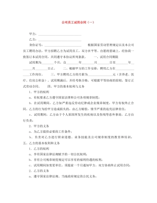 公司员工试用合同（一）
