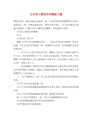 公司员工聘用合同模板3篇