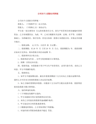 公司向个人借款合同样板
