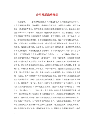 公司发展战略规划