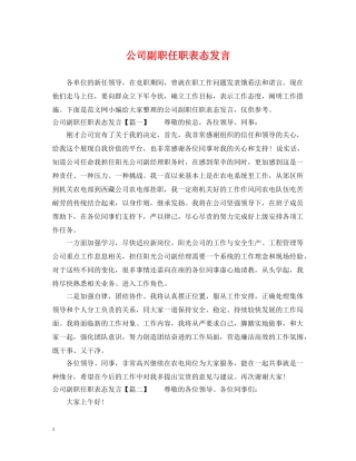 公司副职任职表态发言