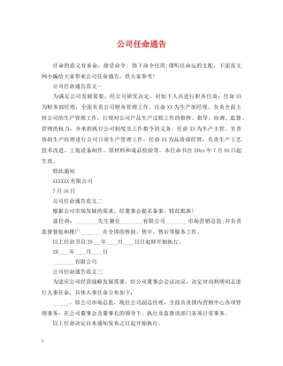公司任命通告