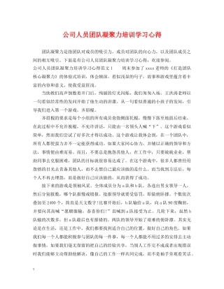 公司人员团队凝聚力培训学习心得