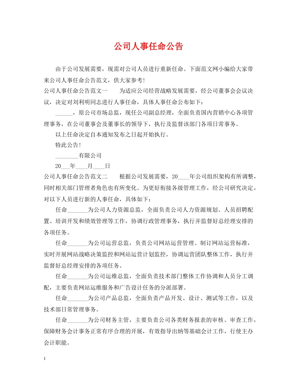 公司人事任命公告_第1页