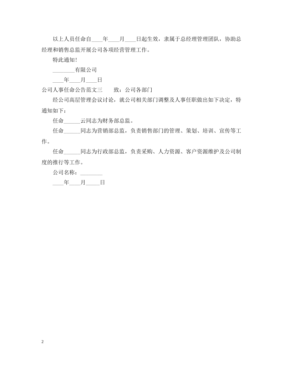 公司人事任命公告_第2页