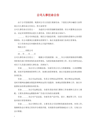 公司人事任命公告