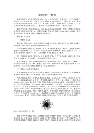 植物的水分代谢