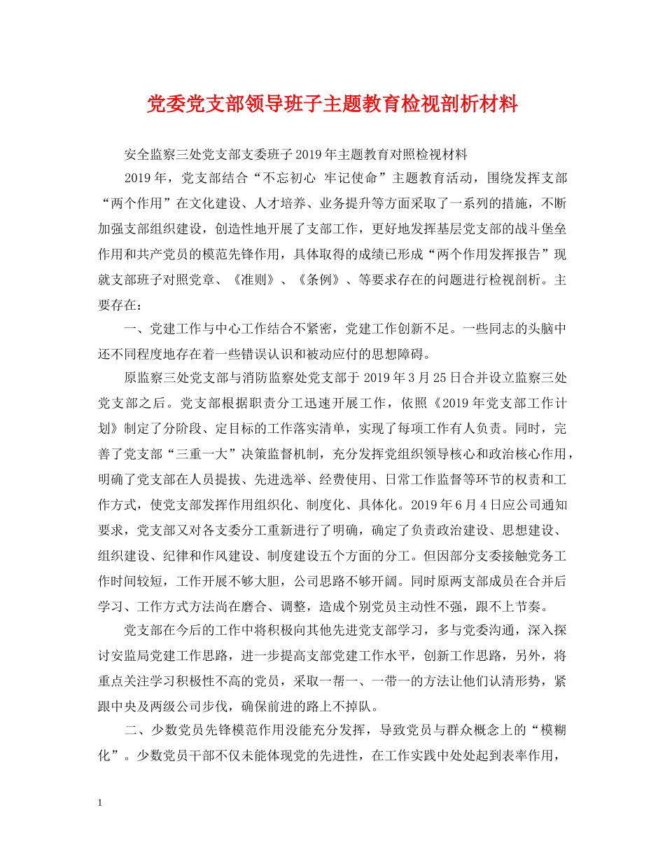 党委党支部领导班子主题教育检视剖析材料_第1页