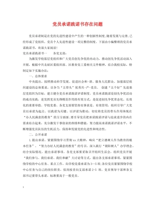 党员承诺践诺书存在问题