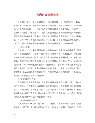 党内外评价意见表