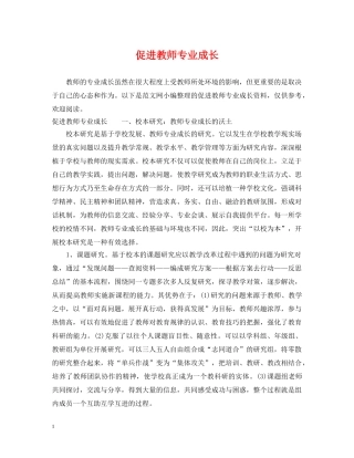 促进教师专业成长