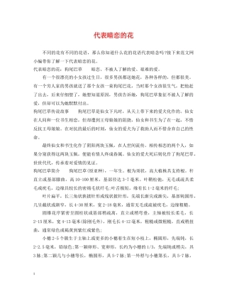 代表暗恋的花