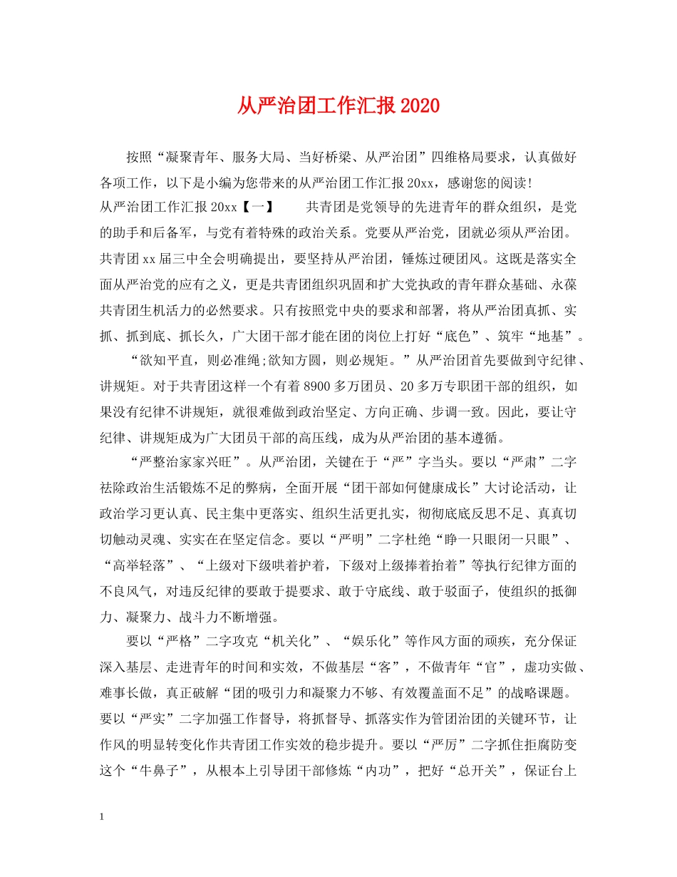 从严治团工作汇报2024_第1页