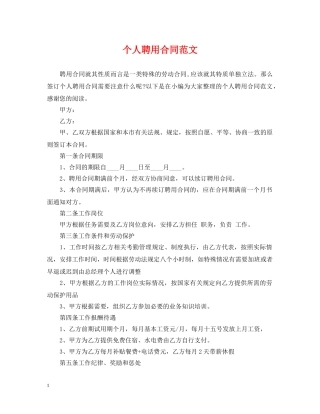 个人聘用合同范文