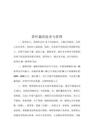 茶叶栽培技术