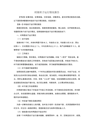 村级班子运行情况报告