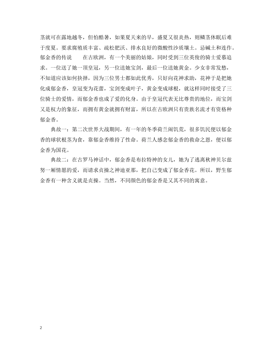 黑郁金香花语 _第2页