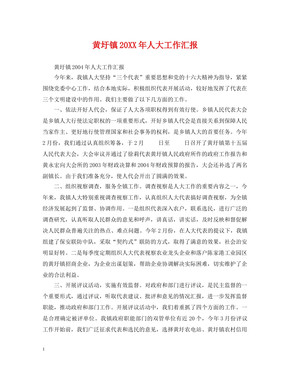 黄圩镇20XX年人大工作汇报 _第1页
