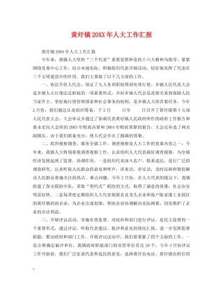 黄圩镇20XX年人大工作汇报 