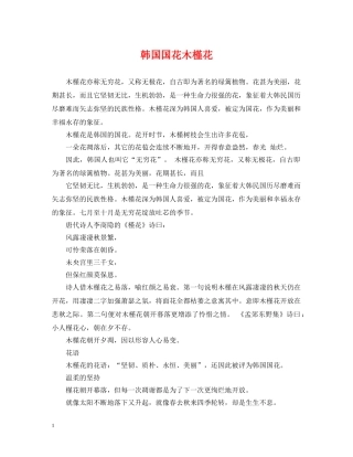 韩国国花木槿花 