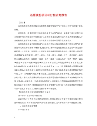 还原铁粉项目可行性研究报告 