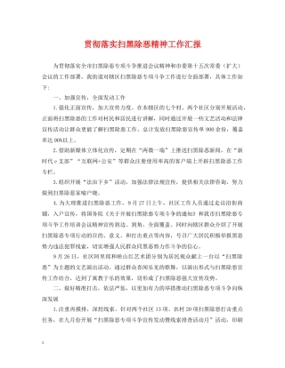 贯彻落实扫黑除恶精神工作汇报 