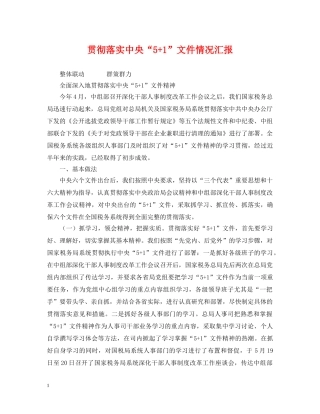 贯彻落实中央“5+1”文件情况汇报 