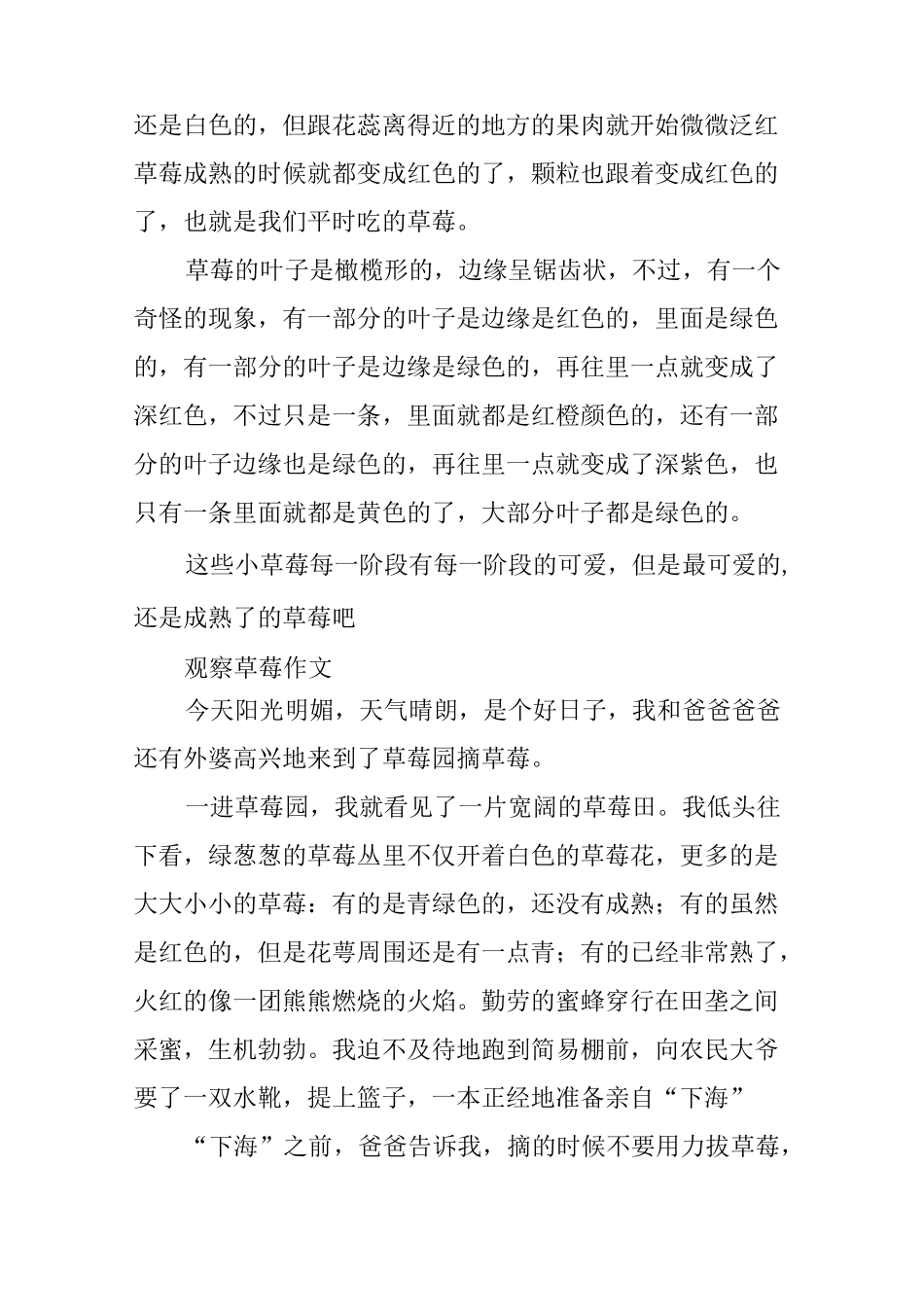 观察草莓作文_第3页